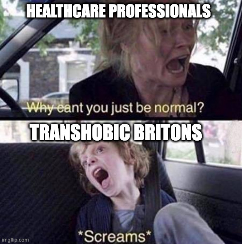 "Healthcare professionals" "Why cant you be normal"  "Transphobic Britons" "Screams"