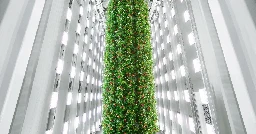 'World-first' indoor vertical farm to produce 4M pounds of berries a year