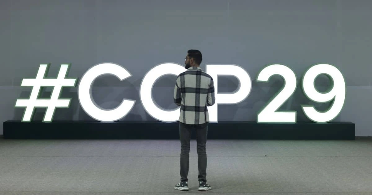 Are COP29 Food Pledges Going to Succeed? COP28's Impact Holds Clues