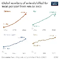 More land animals than ever before are slaughtered for meat.