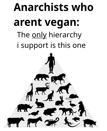 Anarchists who arent vegan: The only Hierarchy i support is this one(There is a chart showing the human hierarchy over other animals)