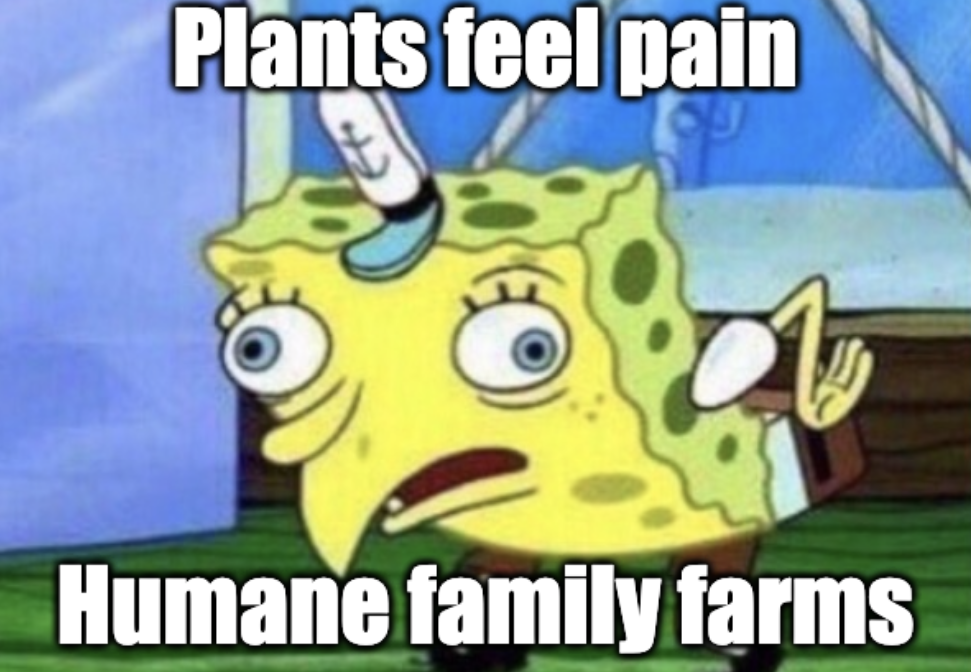 Silly spongbob acting like a chicken "plants feel pain" "Humane family farms"