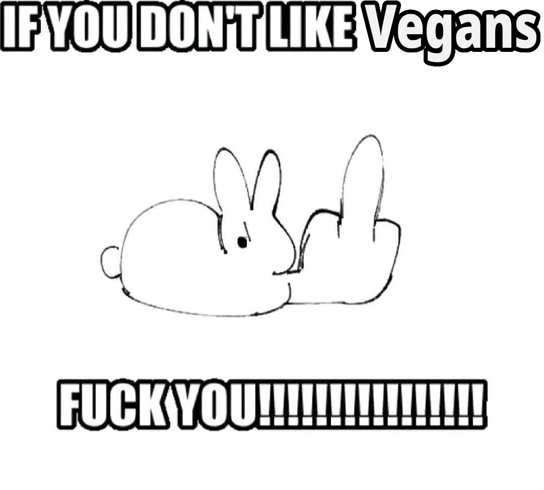 If you dont like vegans fuck you!!!!!!!!!!!!!!!! (there is a drawn bunny loafing with a comical hand throwing the middle finger.))