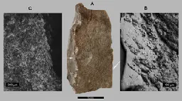 The Origin of Cultivation and Proto-Weeds, Long Before Neolithic Farming