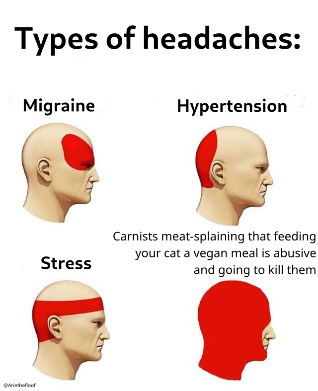 Types of headaches: 1.) Migraine 2.) Hypertension 3.) Stress 4.) Carnists meat-splaining that feeding your cat a vegan meal is abusive and is going to kill them