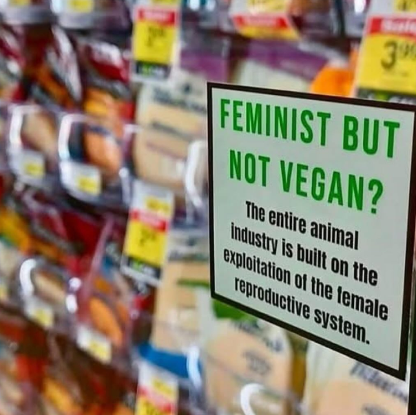 Sign over dairy products that says “ FEMINIST BUT NOT VEGAN?
The entire animal industry is built on the exploitation of the lemale reproductive system.”