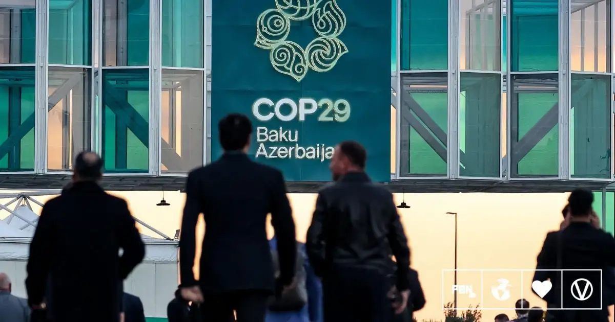 Meat And Dairy Products Mislabeled As Vegan And Vegetarian At COP29