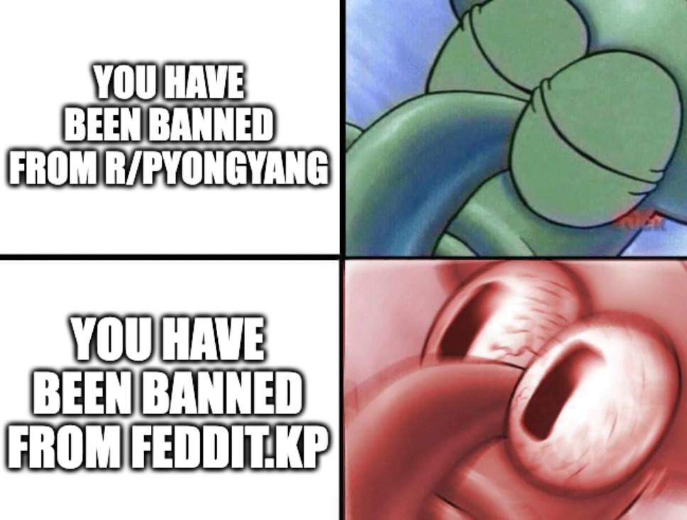 Sleeping squidward "you have been banned from r/pyongpyang" Awake Squidward "You have been banned from feddit.kp"