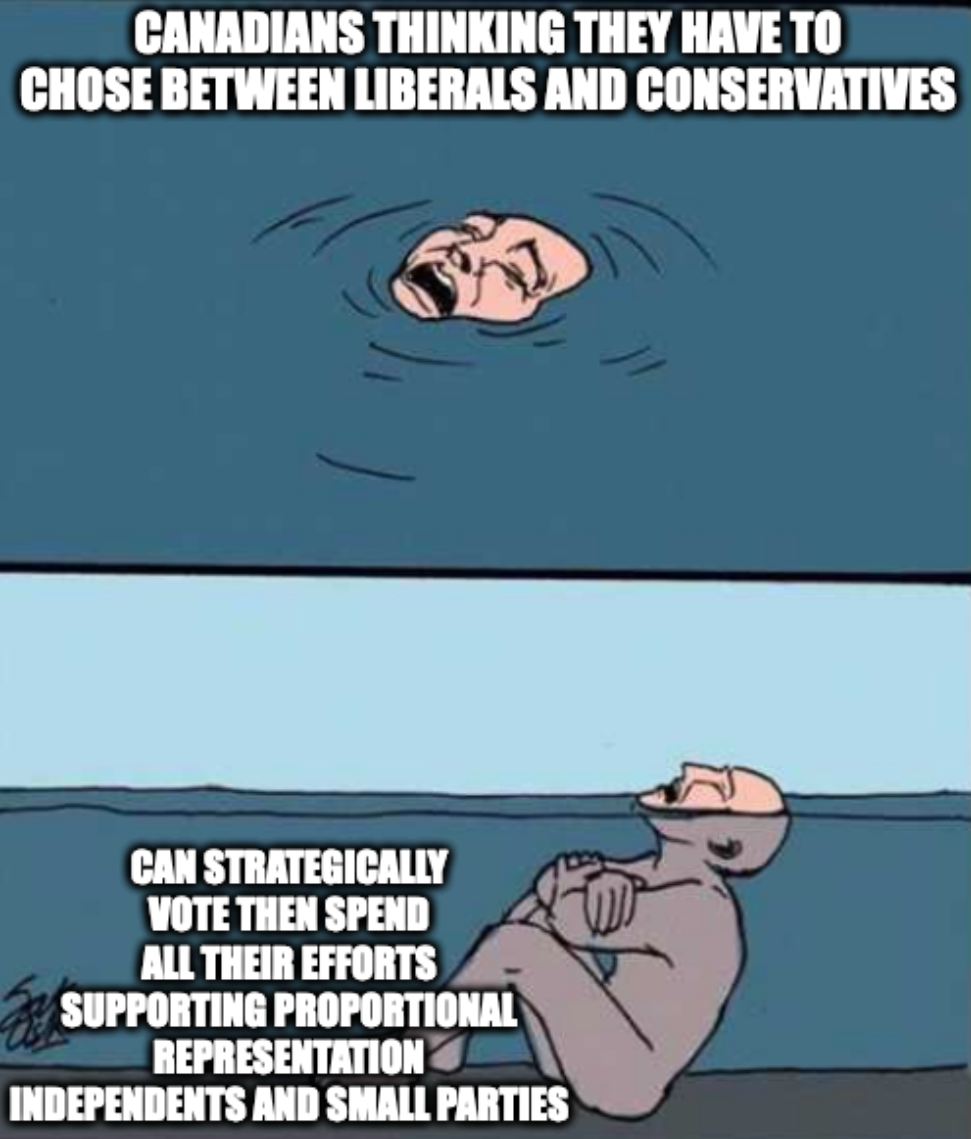 Crying Guy Drowning "Canadians thinking they have to chose liberals between conservatives" "Can strategically vote then spend all their efforts supporting proportional representation independents and small parties"
