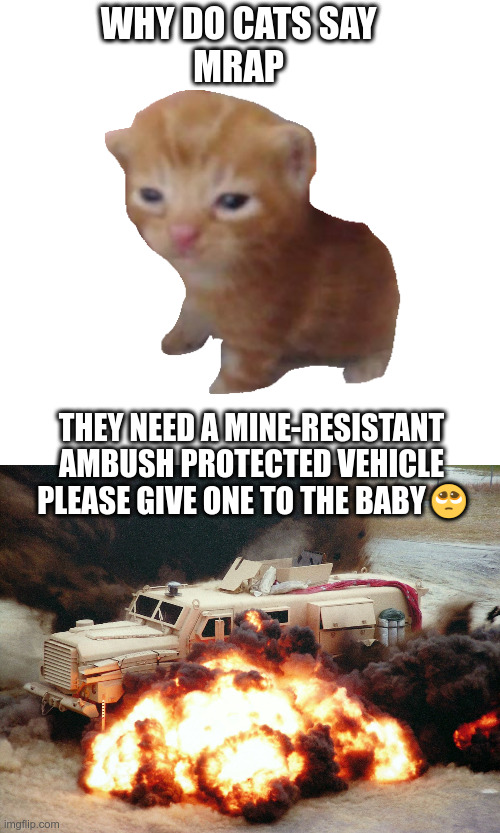 why do cats say mrap because they need a mine resistant ambush protected vehicle